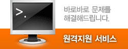 원격 지원 서비스